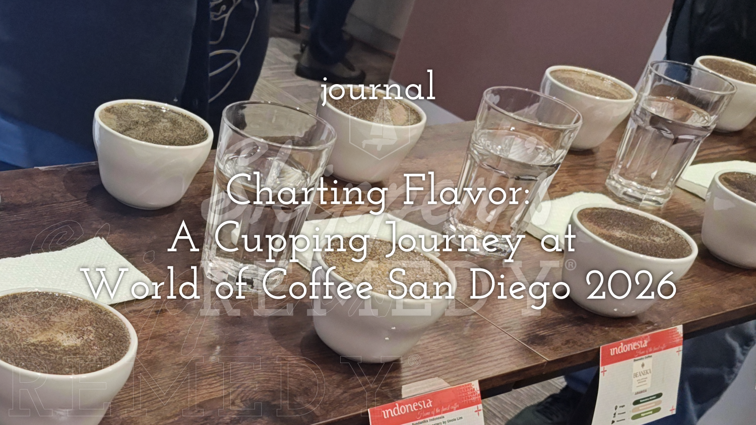 Charting Flavor: A Cupping Journey at World of Coffee San Diego 2026