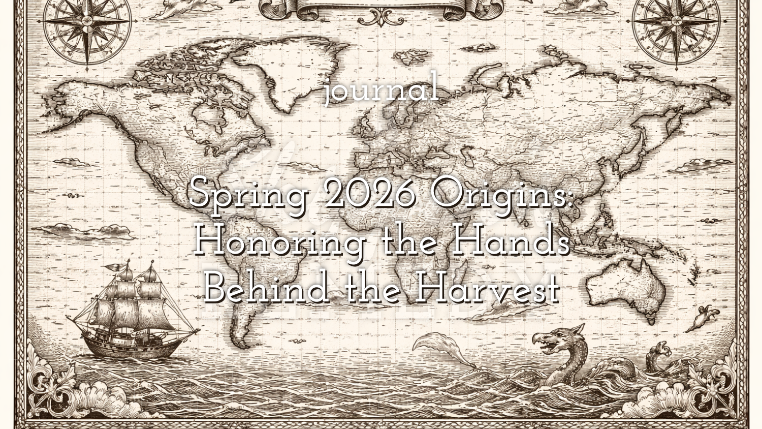 Spring 2026 Origins: Honoring the Hands Behind the Harvest