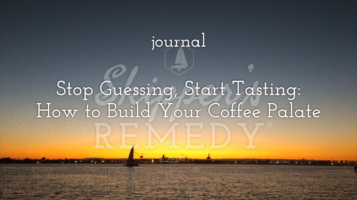 Stop Guessing, Start Tasting: How to Build Your Coffee Palate