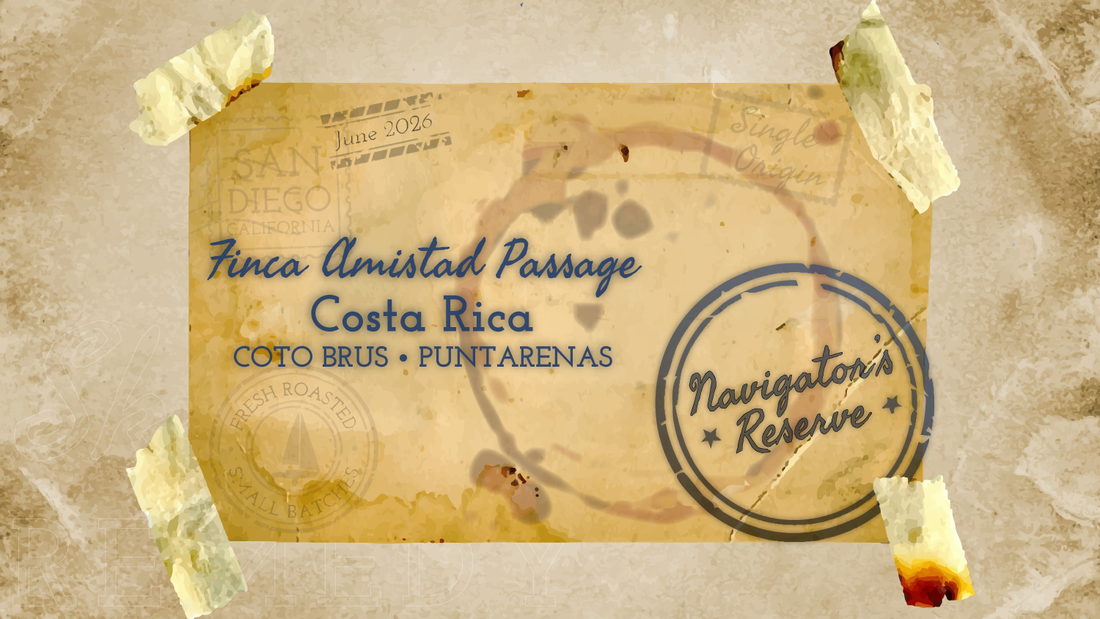 Finca Amistad Passage: A Journey of Stewardship, Community, and Exceptional Coffee