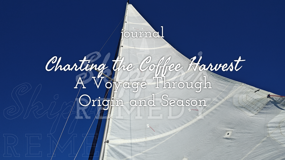 Charting the Coffee Harvest - A Voyage Through Origin and Season